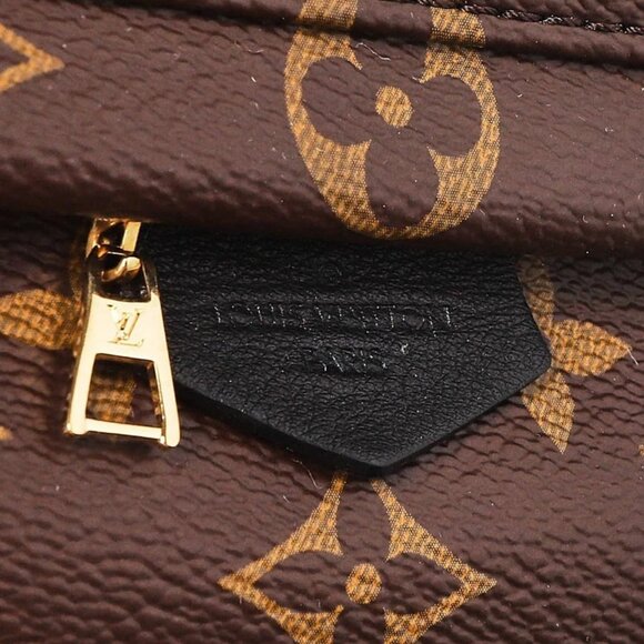 Louis Vuitton Monogram Canvas Palm Springs Mini Backpack Bag - Picture 5 of 11
